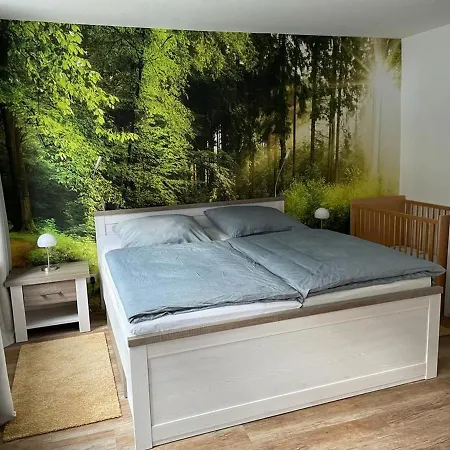 Ferienhaus Ferienhaus Harzcolor *