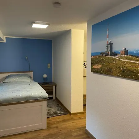 Ferienhaus Ferienhaus Harzcolor *